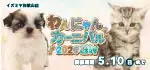 【わんにゃんカーニバル開催！！】和歌山県 ワンラブ イズミヤ和歌山店 イベント開催！！4/25～5/10まで｜ワンラブグループ
