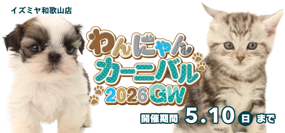 【わんにゃんカーニバル開催！！】和歌山県 ワンラブ イズミヤ和歌山店 イベント開催！！4/25～5/10まで｜ワンラブグループ