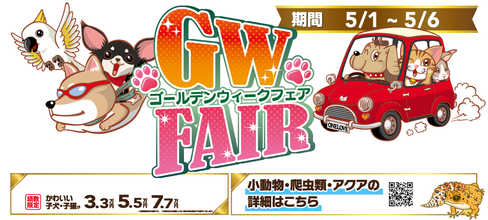 【ゴールデンウィークフェア 開催！！】ゴールデンウィークにワンラブでお迎えしませんか！ 今がお得です！！｜5/1～5/6まで