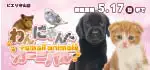【わんにゃんカーニバル 開催！！】滋賀県 ワンラブ ピエリ守山店 わんにゃん+スモールアニマルカーニバル開催！！5/2～5/17まで｜ワンラブグループ