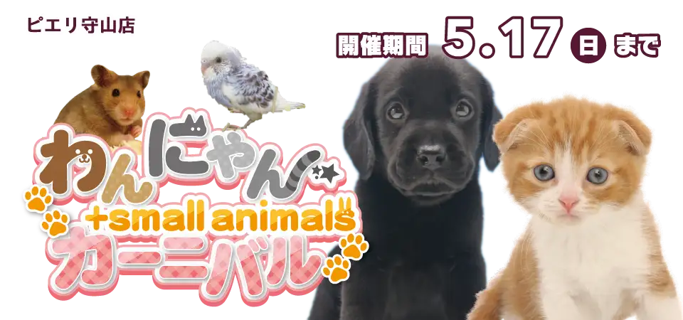 【わんにゃんカーニバル 開催！！】滋賀県 ワンラブ ピエリ守山店 わんにゃん+スモールアニマルカーニバル開催！！5/2～5/17まで｜ワンラブグループ