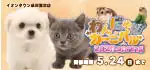 【わんにゃんカーニバル 開催！！】千葉県 ワンラブ イオンタウン成田富里店 わんにゃん+スモールアニマルカーニバル開催！！5/9～5/24まで｜ワンラブグループ