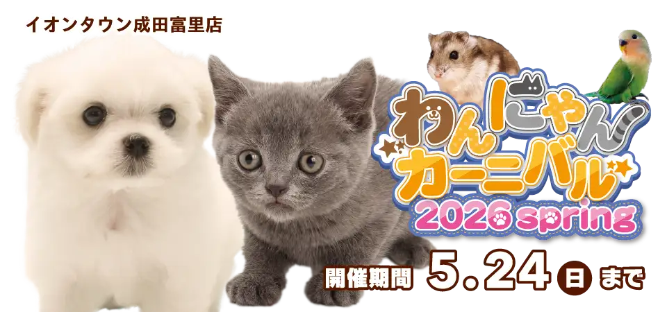 【わんにゃんカーニバル 開催！！】千葉県 ワンラブ イオンタウン成田富里店 わんにゃん+スモールアニマルカーニバル開催！！5/9～5/24まで｜ワンラブグループ