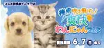 【わんにゃんフェア 開催！！】神奈川県 コピオ相模原インター店 梅雨を吹き飛ばし！爽快フェア開催～ 5/23～6/7まで｜ワンラブグループ