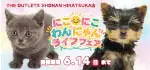 【にこにこわんにゃんライフフェア 開催！！】神奈川県 ワンラブ アウトレット湘南平塚店 イベント開催！！5/30～6/14まで