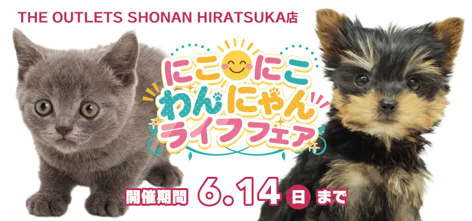 【にこにこわんにゃんライフフェア 開催！！】神奈川県 ワンラブ アウトレット湘南平塚店 イベント開催！！5/30～6/14まで