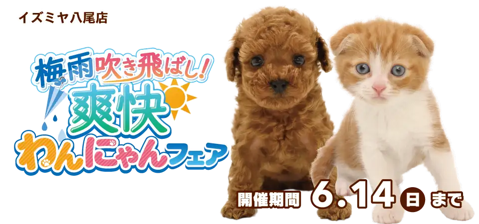 【わんにゃんフェア 開催！！】大阪府 イズミヤ八尾店 梅雨を吹き飛ばし！爽快フェア開催～ 5/30～6/14まで｜ワンラブグループ