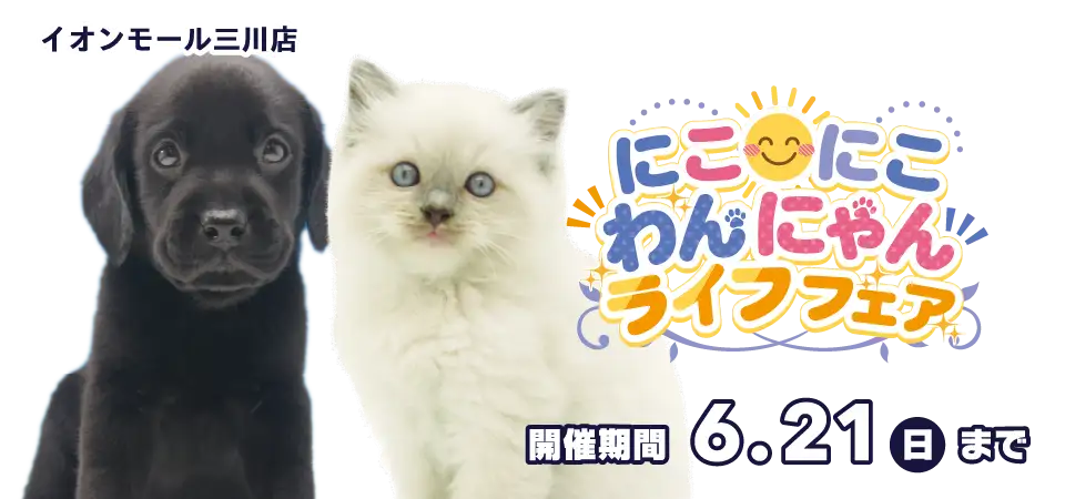 【にこにこ わんにゃん ライフフェア 開催！！】山形県 ワンラブ イオンモール三川店 イベント開催！！6/6～6/21まで｜ワンラブグループ