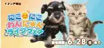 【にこにこわんにゃんライフフェア開催！】福岡県北九州市 ワンラブ イオン戸畑店 期間限定イベント開催！！ 6/13～6/28まで｜ワンラブグループ