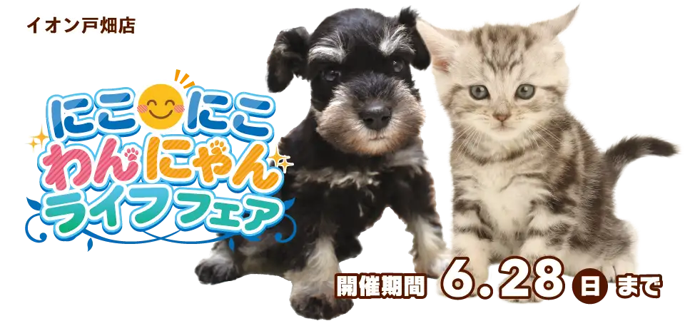 【にこにこわんにゃんライフフェア開催！】福岡県北九州市 ワンラブ イオン戸畑店 期間限定イベント開催！！ 6/13～6/28まで｜ワンラブグループ