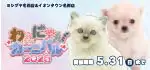 【わんにゃんカーニバル 開催！！】愛知県 ワンラブ ヨシヅヤ名西店＆イオンタウン名西店 合同イベント開催！！5/16～5/31まで