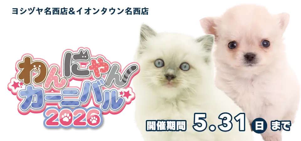 【わんにゃんカーニバル 開催！！】愛知県 ワンラブ ヨシヅヤ名西店＆イオンタウン名西店 合同イベント開催！！5/16～5/31まで