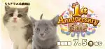 【祝!!1周年記念!!】東京都 ニャンラブららテラス北綾瀬店 アニバーサリーフェア開催！！6/20～7/5まで｜ワンラブグループ