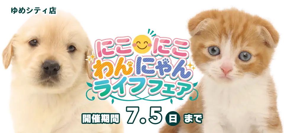 【にこにこわんにゃんライフフェア 開催！！】山口県 ワンラブ ゆめシティ店 イベント開催！！6/20～7/5まで