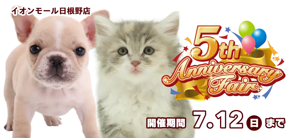 【祝!! 5周年!! 】大阪府 ワンラブ イオンモール日根野店 5th アニバーサリーフェア開催！ 6/27～7/12まで