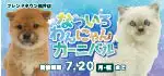 【なついろ わんにゃんカーニバル開催！！】福井県 ワンラブ フレンドタウン福井店 イベント開催！！7/4～7/20まで｜ワンラブグループ