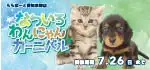【なついろわんにゃんカーニバル!!】愛知県 ワンラブ ららぽーと東郷店 夏イベント開催！！7/11～7/26まで｜ワンラブグループ