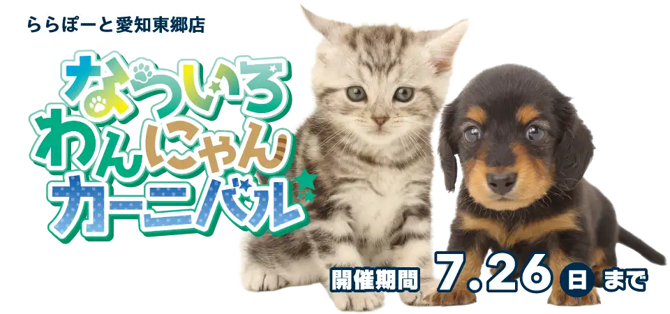 【なついろわんにゃんカーニバル!!】愛知県 ワンラブ ららぽーと東郷店 夏イベント開催！！7/11～7/26まで｜ワンラブグループ