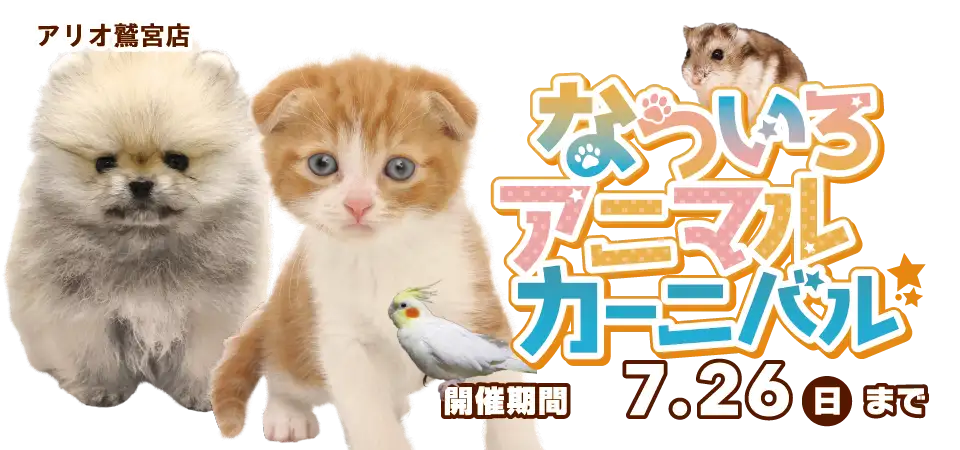 【なついろわんにゃんカーニバル 開催！！】埼玉県 ワンラブ アリオ鷲宮店 夏のイベント開催！！7/11～7/26まで｜ワンラブグループ