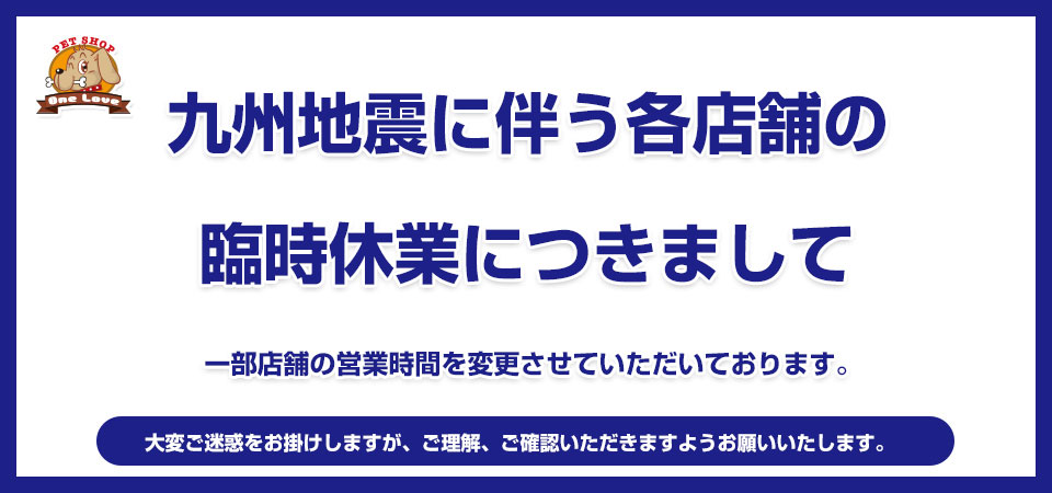熊本県を中心とする地震について｜ワンラブグループ