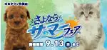 【さよならサマーフェア 開催！！】佐賀県 ワンラブ ゆめタウン佐賀店 イベント開催！！8/29～9/13まで｜ワンラブグループ