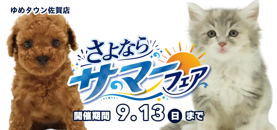 【さよならサマーフェア 開催！！】佐賀県 ワンラブ ゆめタウン佐賀店 イベント開催！！8/29～9/13まで｜ワンラブグループ