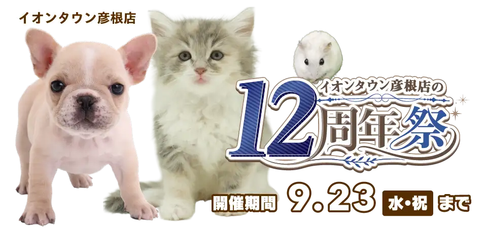 【祝！12周年感謝祭 開催!!】滋賀県 ワンラブ イオンタウン彦根店 12th Anniversary 開催中!! 9/5～9/23まで