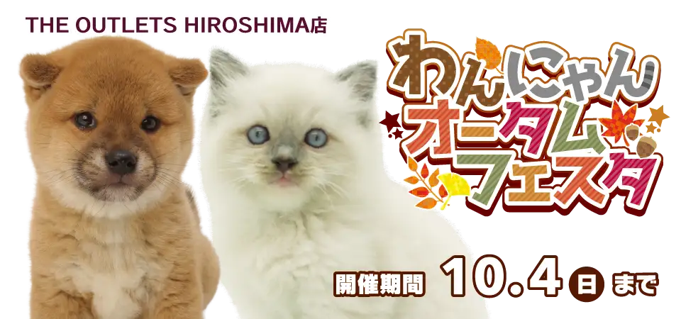 【わんにゃんオータムフェスタ 開催！！】ワンラブ アウトレット広島店 イベント開催！！9/19～10/4まで｜ワンラブグループ