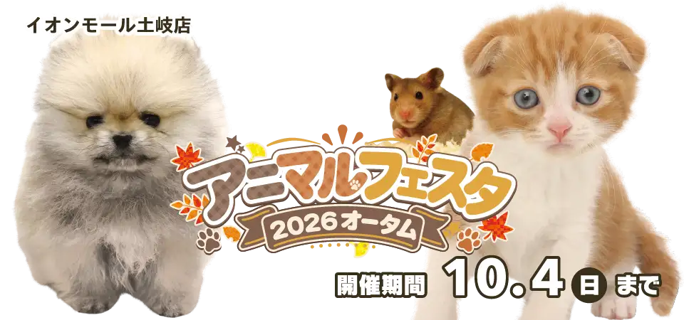 【アニマルフェスタ 2026開催！！】岐阜県 ワンラブ イオンモール土岐店 秋の感謝イベント開催！！9/19～10/4まで｜ワンラブグループ