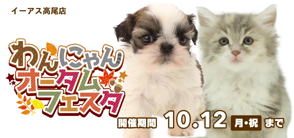 【わんにゃんオータムフェスタ 開催！！】東京都 ワンラブ イーアス高尾店 わんにゃんイベント開催！！9/26～10/12まで｜ワンラブグループ