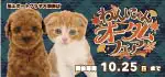 【わんにゃんオータムフェア 開催！！】広島県 ワンラブ 福山ポートプラザ天満屋店 秋イベント開催！！10/10～10/25まで｜ワンラブグループ