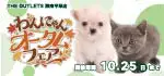 【わんにゃんオータムフェア 開催！！】神奈川県 ワンラブ アウトレット湘南平塚店 イベント開催！！10/10～10/25まで｜ワンラブグループ