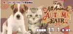 【オールアニマルズ オータムフェア 開催！！】愛知県 ワンラブ ホームセンターバロー小牧岩崎店 イベント開催！！10/17～11/1まで｜ワンラブグループ