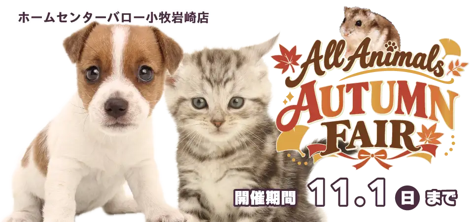 【オールアニマルズ オータムフェア 開催！！】愛知県 ワンラブ ホームセンターバロー小牧岩崎店 イベント開催！！10/17～11/1まで｜ワンラブグループ