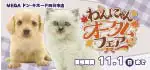 【わんにゃんオータムフェア 開催！！】三重県 ワンラブ MEGAドン・キホーテ四日市店 イベント開催中！！10/17～11/1まで｜ワンラブグループ