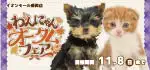 【わんにゃん オータムフェア開催！！】岩手県 ワンラブ イオンモール盛岡店 秋の感謝イベント開催！！10/24～11/8まで｜ワンラブグループ