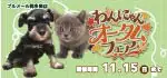 【わんにゃんオータムフェア 開催！！】兵庫県 ワンラブ ブルメール舞多聞店 秋イベント開催！！10/31～11/15まで｜ワンラブグループ