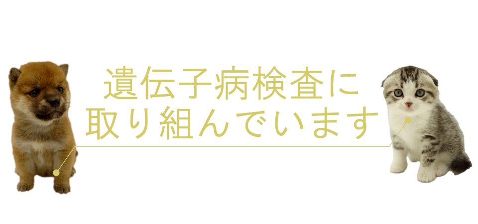 遺伝子病検査の取り組みについて｜ワンラブグループ