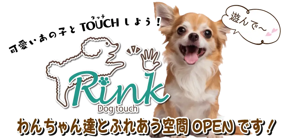 【Dog touch Rink】
可愛い子犬たちと触れ合えるコーナーです♪｜ワンラブグループ