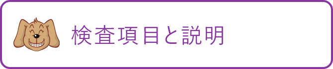 検査項目と説明