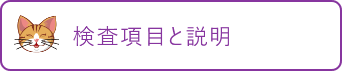 検査項目と説明