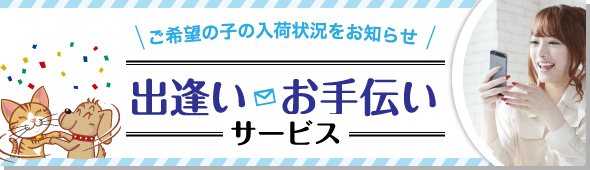 ご希望の子の入荷状況をお知らせ：出会いお手伝いサービス