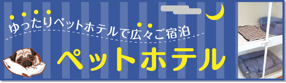 ゆったりペットホテルで広々ご宿泊