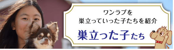 ワンラブを巣立った子たちを紹介します：巣立った子たち