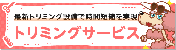 最新トリミング施設で時間短縮を実現！トリミングサービスの詳細はこちら