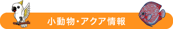 小動物・アクア情報