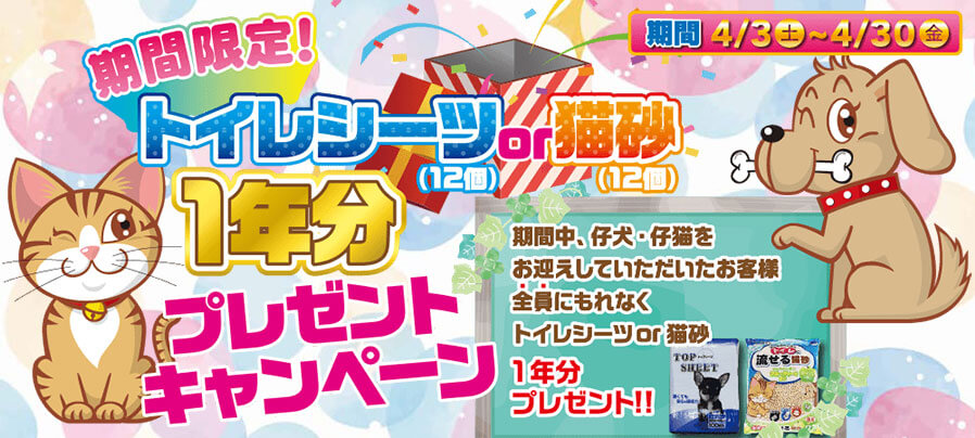ペットショップのワンラブ 写真と動画でご紹介 ペットショップのワンラブ 写真と動画でご紹介