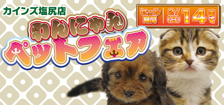 ペット ワンラブ