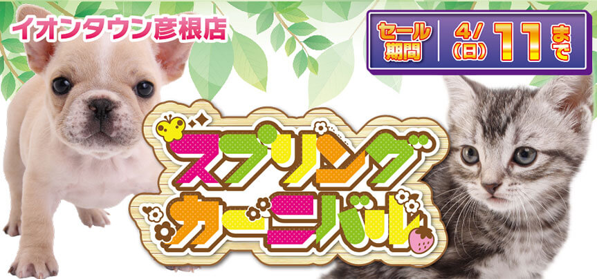 ペットショップのワンラブ 写真と動画でご紹介 ペットショップのワンラブ 写真と動画でご紹介