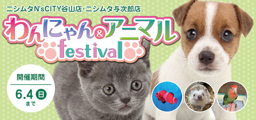 【わんにゃん&アニマルフェスティバル開催！】鹿児島県 ワンラブ ニシムタ与次郎店＆ N'sCITY谷山店 にてわんにゃん&アニマルフェスティバルが開催！！ 5/20～6/4まで｜ワンラブグループ